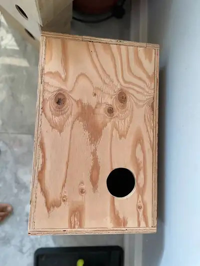 Birds nest box for alexandrine , View more