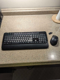 Microsoft Wireless Keyboard and Mouse Combo