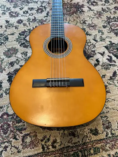 Complete starter kit including Guitar, Case and Beginner Guitar Books. Guitar is in good shape with...