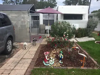 Grosse baisse de prix 19600,00 us, négociable faite moi une offre raisonnable Pas cher pour être rés...