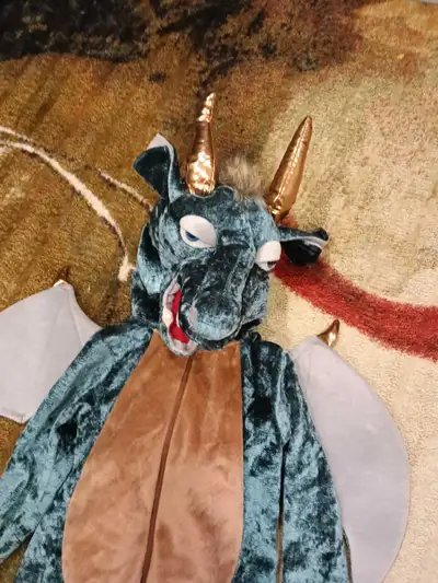 dragon costume 4-5 years, View more