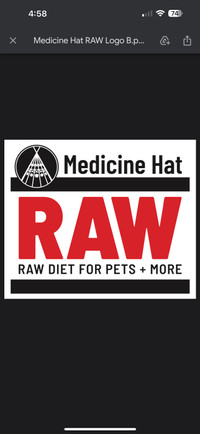 RAW diet pet food