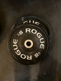 Rogue Bumper Plates