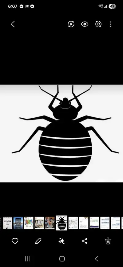 Pest Control, View more