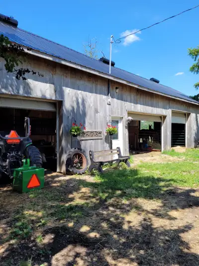 Enjoy the beauty of Standardbred Horses outside every window. This renovated Farmhouse is just far e...
