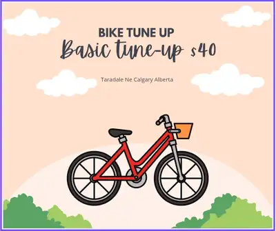 Basic Bike Tune-Up - Brake and Gear Adjustment - Chain lubrication - Tire check - Safety Check $40 T...