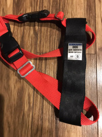 Hi-Craft Dog Car Harness