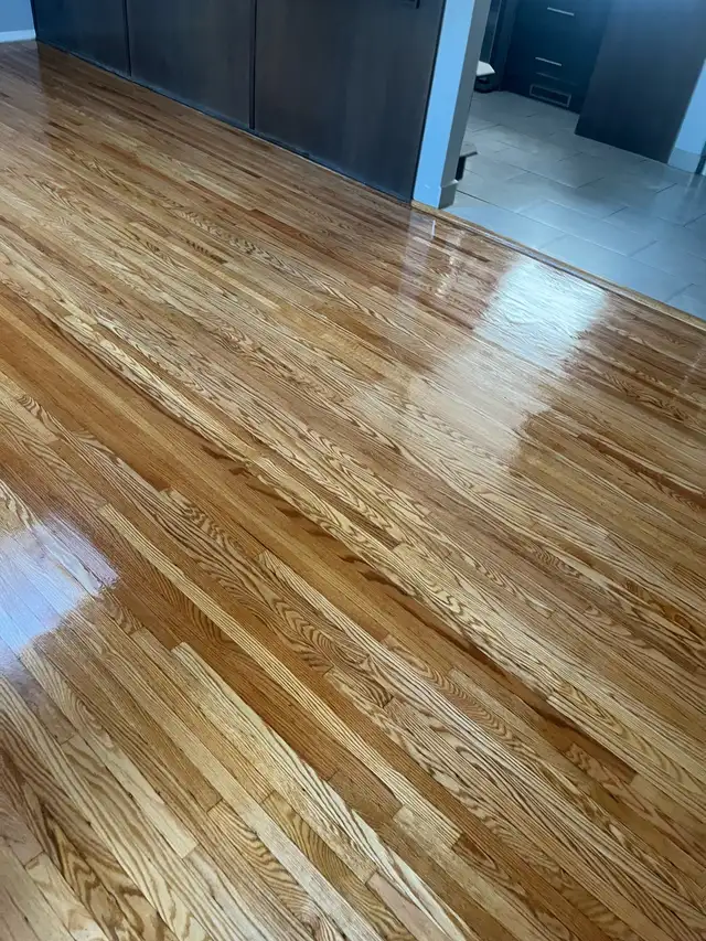 hardwood floor refinishing and topcoat