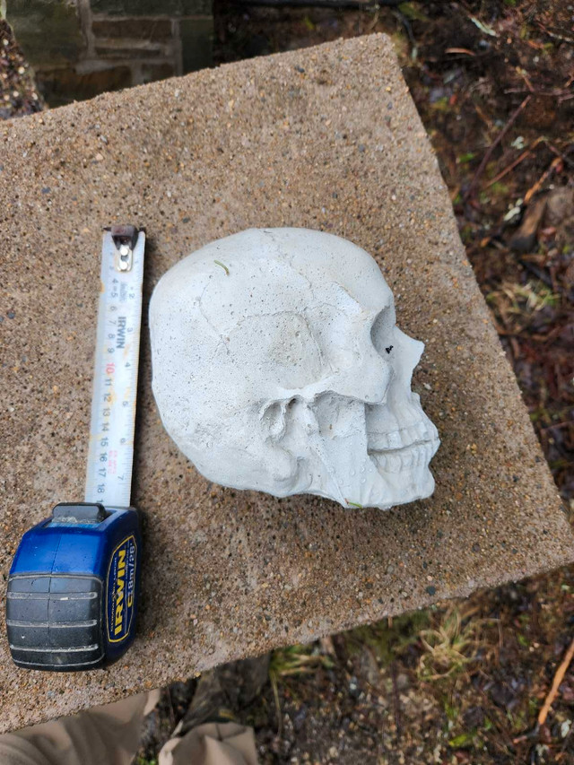 Concrete skull  in Arts & Collectibles in Yarmouth - Image 2