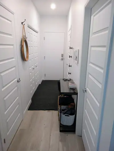 ✨ Commencez 2026 dans un véritable havre de paix avec Pitou et/ou minou… ou offrez-vous un Noël magi...