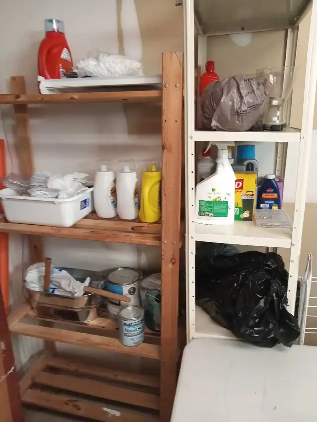 professional house cleaner 498581201592012804