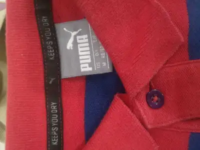 Puma Polo, View more