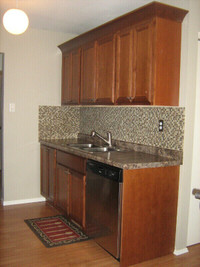 Wanted...Kitchen Cabinets / Cupboards...From Renovations