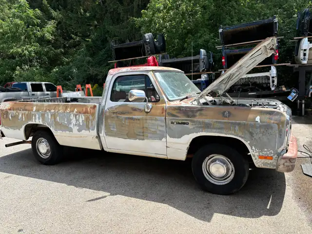 Southern 91 Dodge D-150