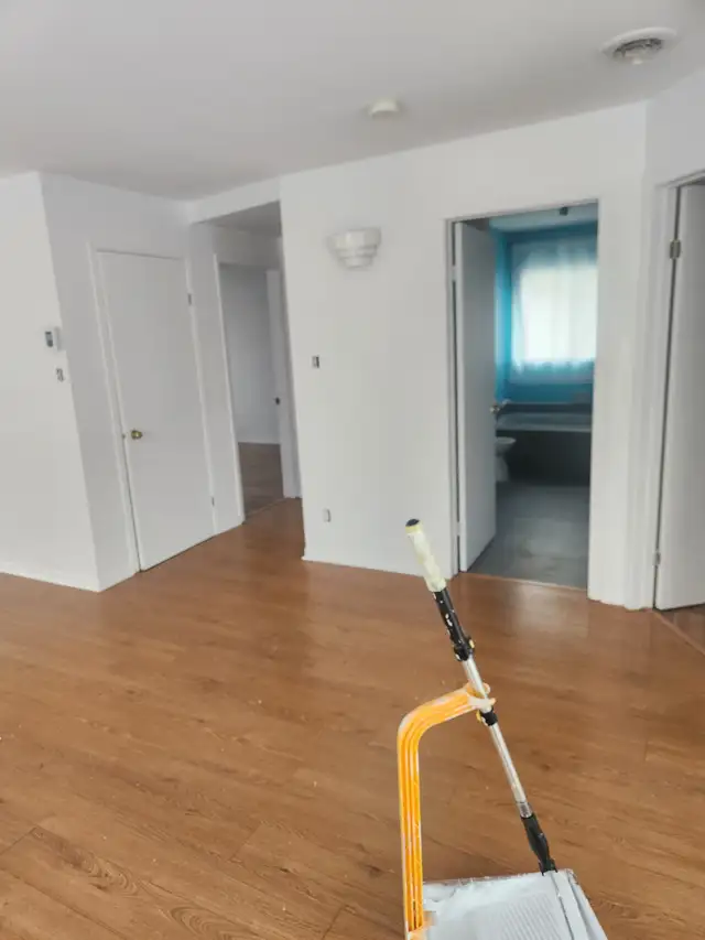 PAINTER 438 813-306362863720508673121
