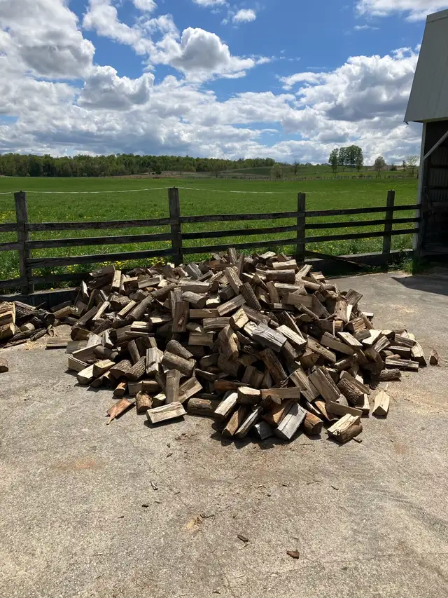 Firewood For Sale in Fireplace & Firewood in Owen Sound - Image 3