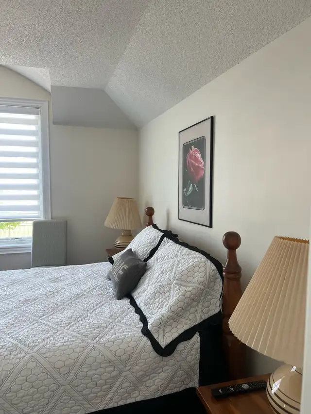 cleaning service 100$566535496580485127