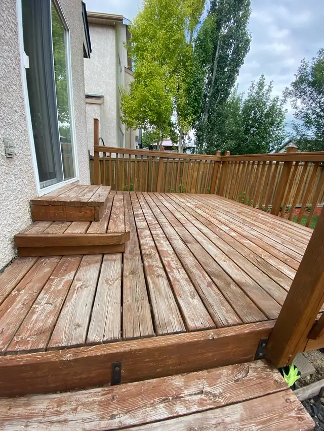 Affordable painter62863224485889122