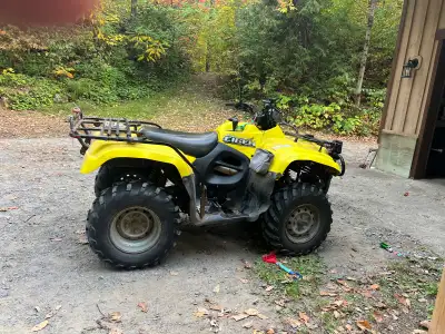 Suzuki Eiger Runs strong, this thing is a work horse. Have been blowing with it for 3 years. Only re...