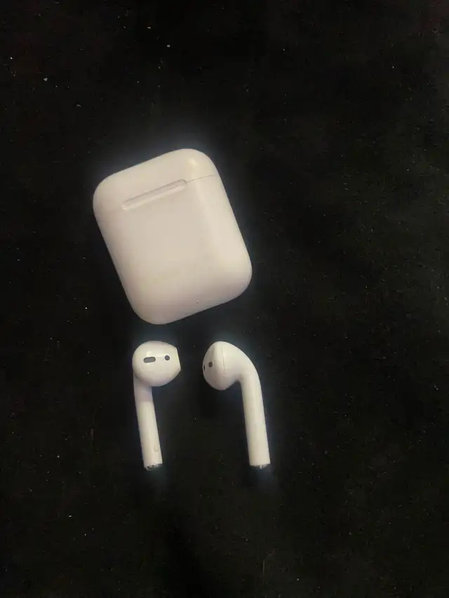 AirPods and Bluetooth speaker62863731889665127