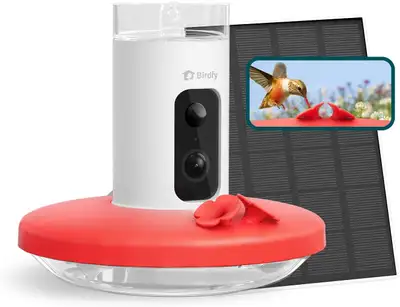 Smart Hummingbird Feeder, View more
