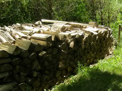 Cut and split poplar firewood aged a year dry and covered $120.oo a half ton truck load not stacked...