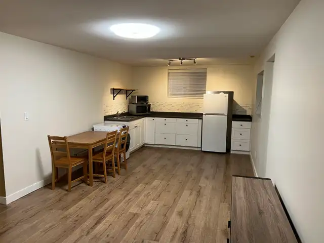 Langley (Walnut Grove)1bed1bath basement suite with AC
