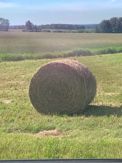 Round hay bales for sale Blend of hay 10% Timothy, 30% grasses, 70% alfalfa $175/bale Located 10 min...