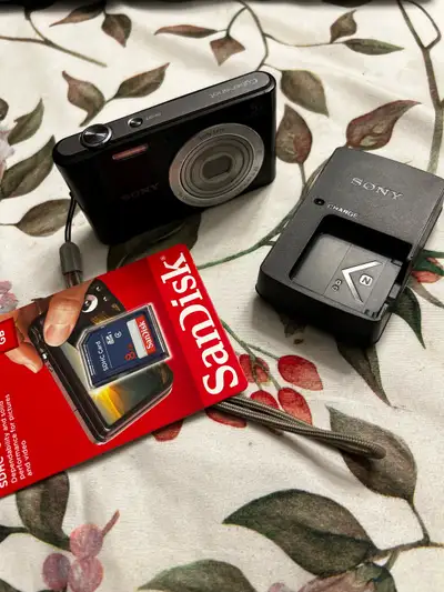 Sony Cyber-shot DSC-W800 20.1MP Digital Camera 5x Zoom, View more