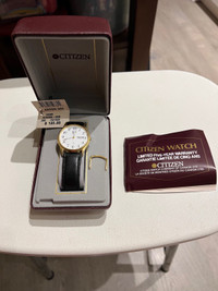 Man’s Citizen Watch 