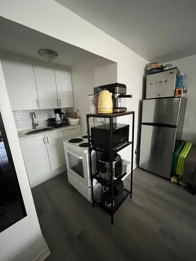 Offering: 3 separate small bachelor apartments for rent Available: April 1st and April 15th Price: $...
