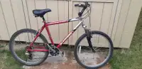 Schwinn Mountain Bike