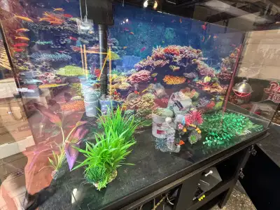 60 Gallon Aquarium Setup - Complete and Ready to Go!, View more