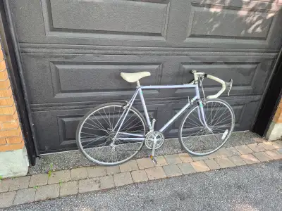 Bianchi Brava road bike tuned up with 23" frame, View more