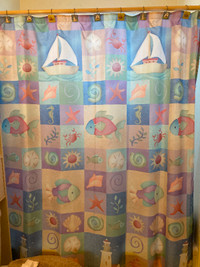 New Shower Curtain and Mat. Accessories in great condition