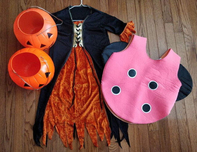 Halloween Costume Bundle in Costumes in Windsor Region