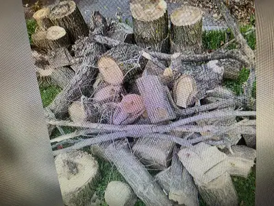 FREE - FIRE WOOD LOGS, View more