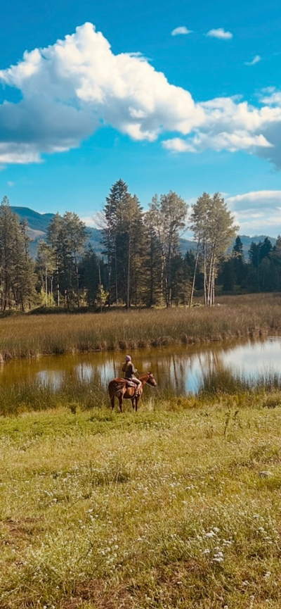 Offered at $649,000 A rare opportunity to own 163 acres of beautiful bare land in a peaceful, privat...