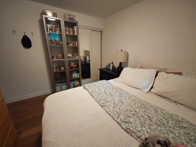 Two-level suite, Ground level living room, 2 basement bedrooms in Long Term Rentals in Mississauga / Peel Region - Image 7