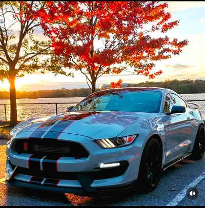 2016 Procharged Shelby GT350 800HP
