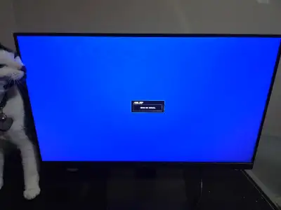 ASUS 24" Monitor, View more