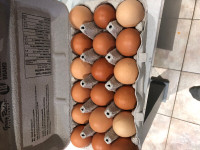 Farm fresh Brown eggs for sale