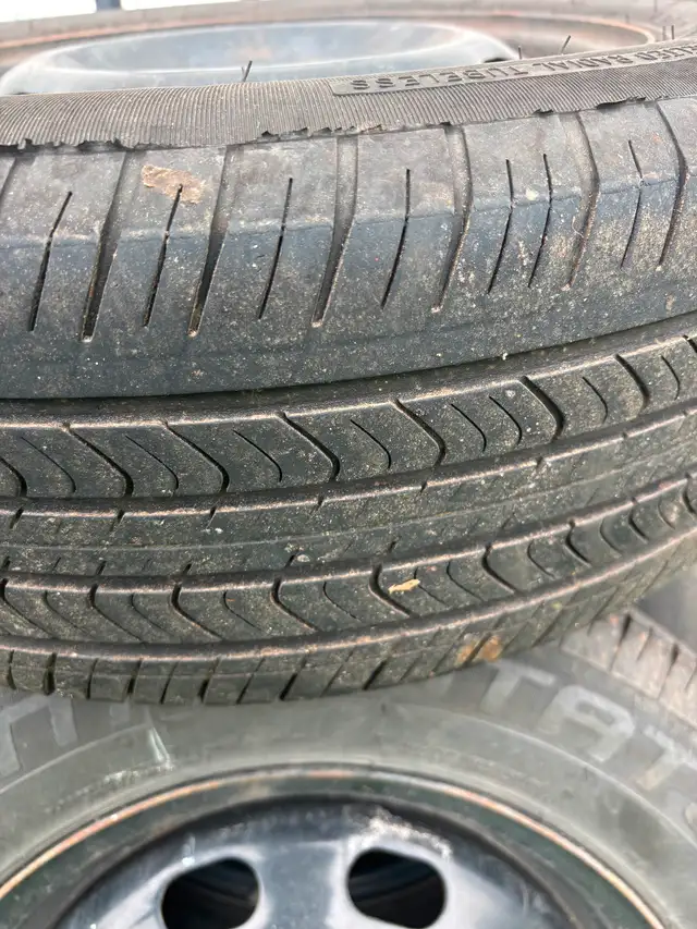 Tires on steel rims in Tires & Rims in Ottawa - Image 6