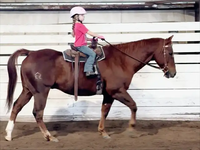 Horseback Riding Lessons64519977121795121