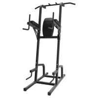 Northern Lights Power Tower Chin Up Dips VKR Push Up Machine