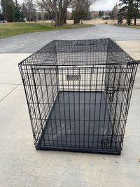 Large dog crates for sale