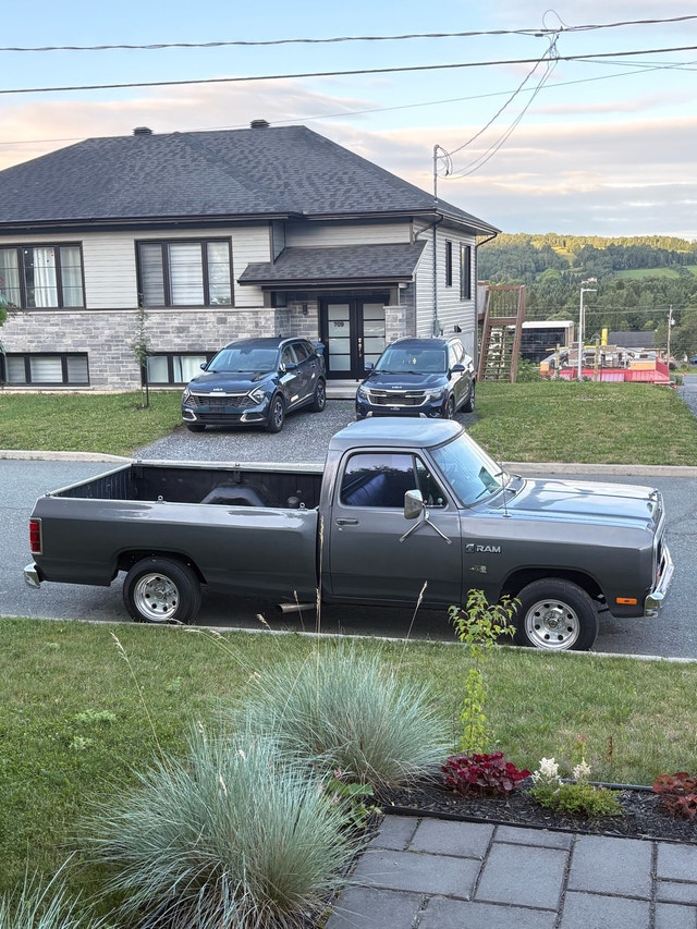 Dodge ram D 150 1983 — photo 3