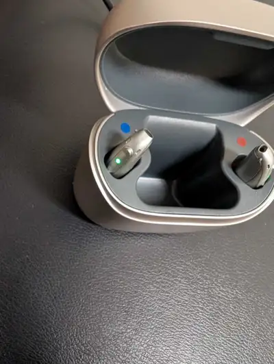 I have a set of rechargeable L70 hearing aids, they are in great working order and charge fully and...