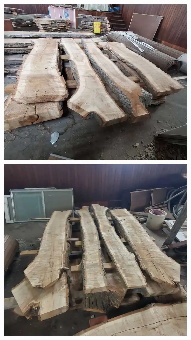 Raw Wood Slabs, Cookies, & Craft Pieces! in Other in Regina - Image 9