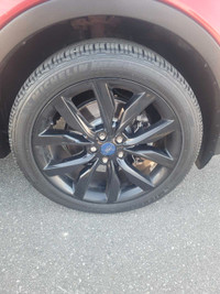 Ford Escape 19" OEM Black Wheels and Michelin Tires